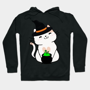 Cute white cat is a witch Hoodie